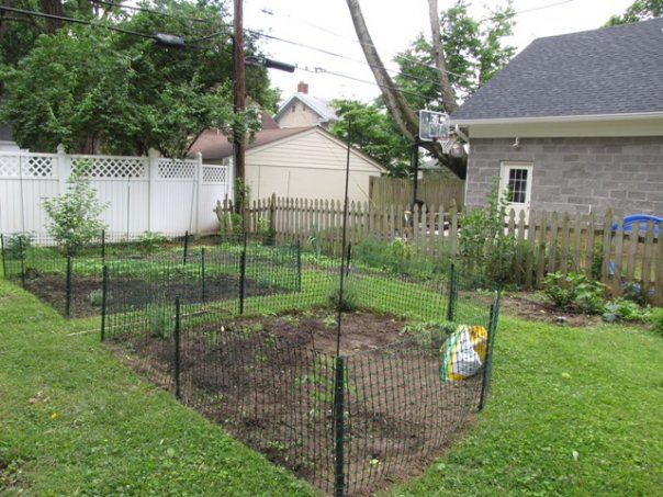 Mimi's garden in June