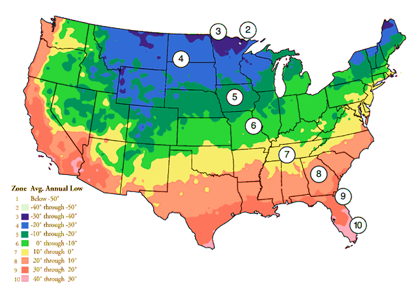 Hardiness Zones Growing In My Gardengrowing In My Garden 36624 Hot Sex Picture 0879