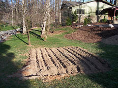 Garden site prep