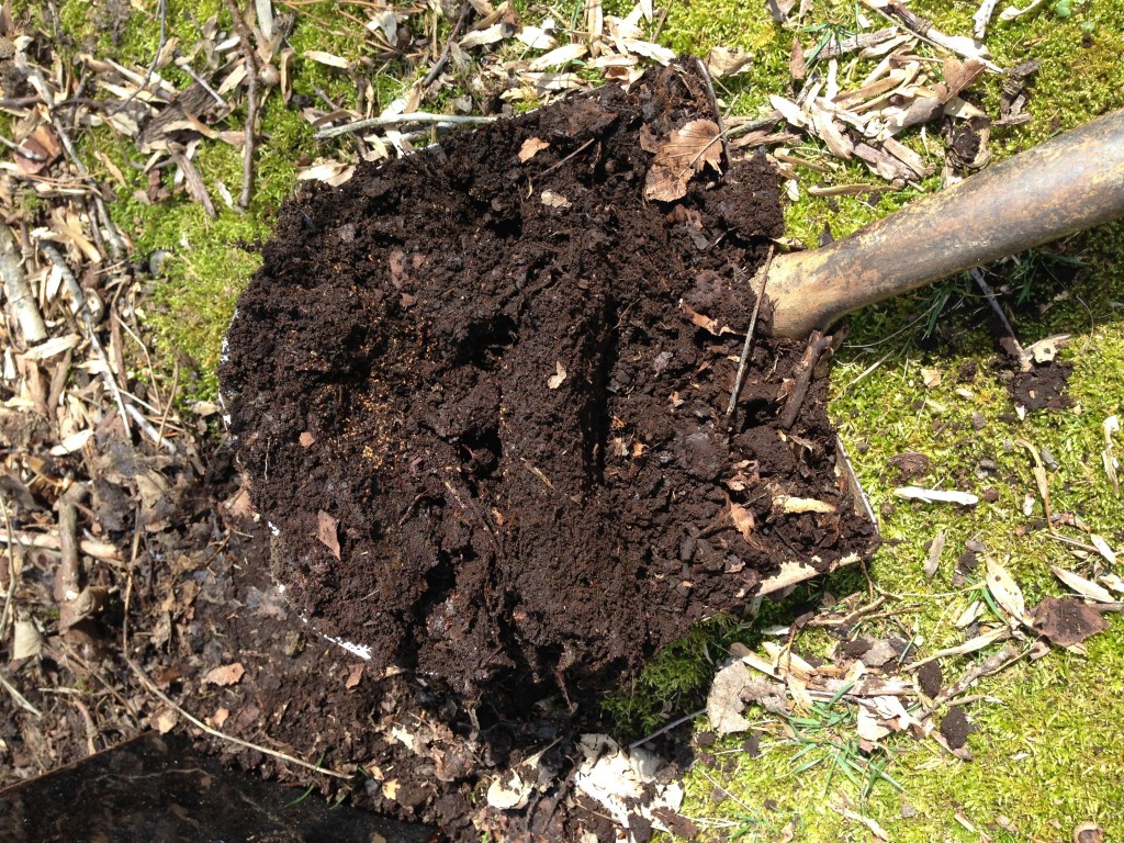 The Best Soil You Never Have to Buy