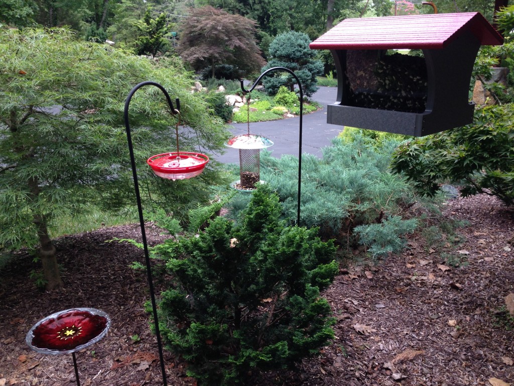 Bird Feeders - My Most Recent Obsession
